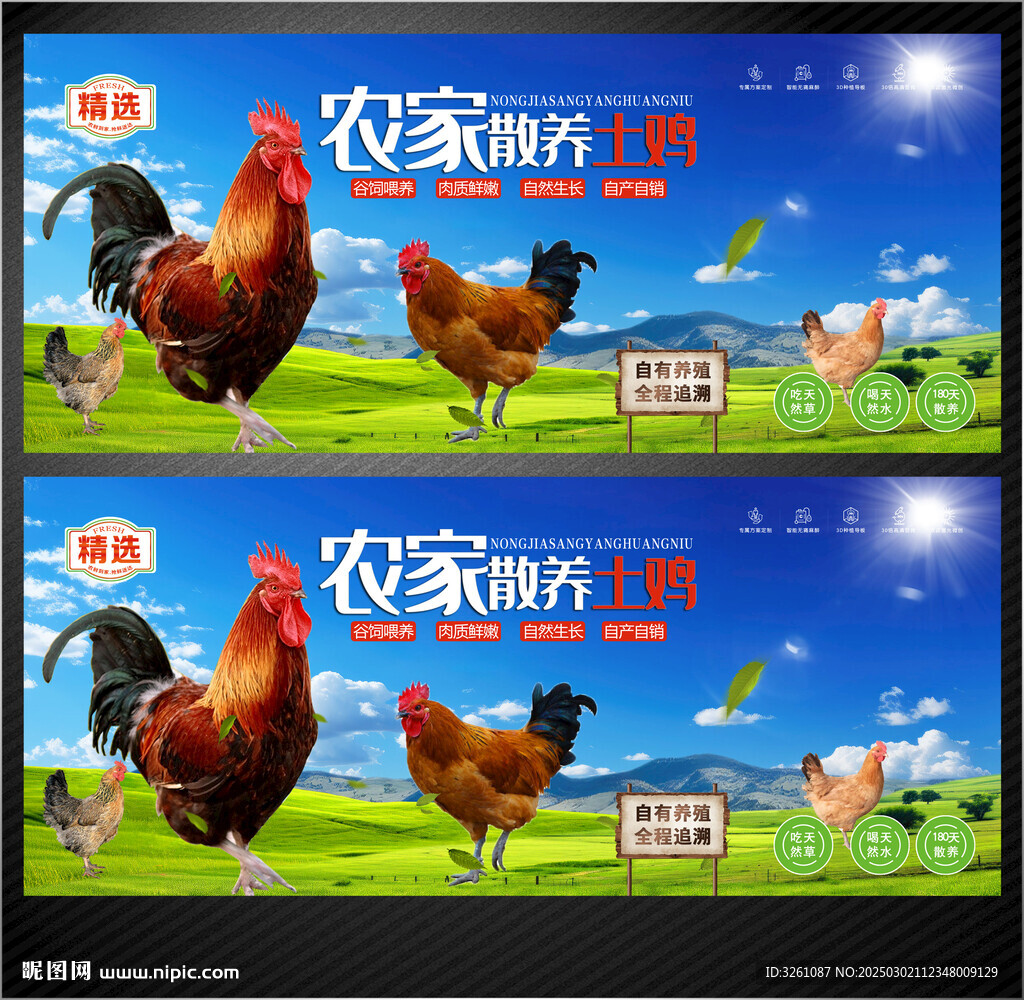 農(nóng)家土雞展板