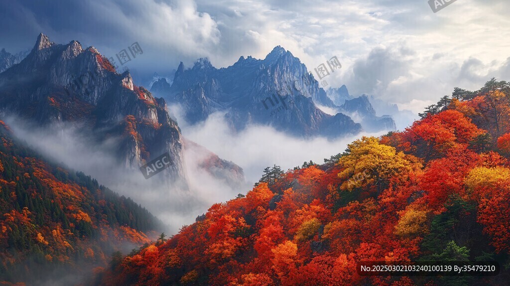 秋日山谷的云海