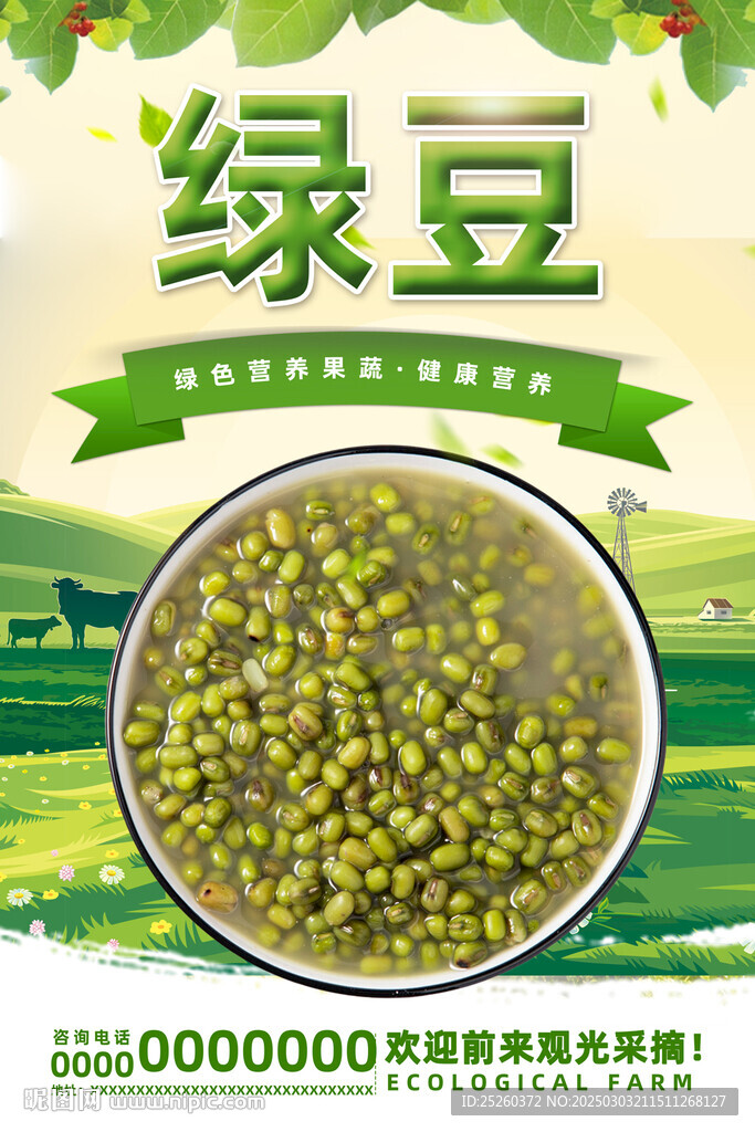 綠豆