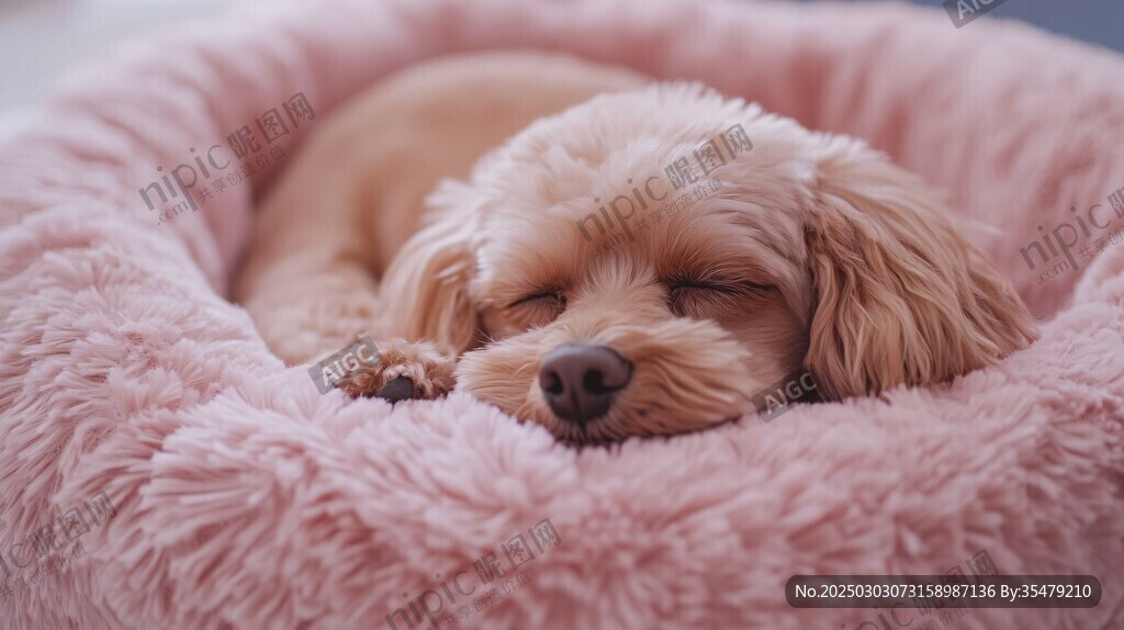安靜的睡眠