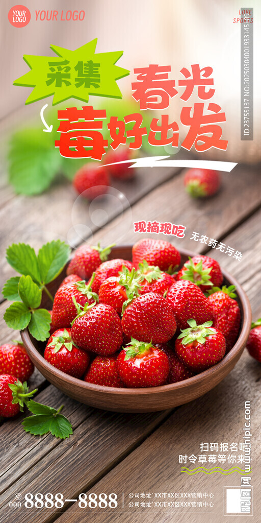 草莓采摘海報