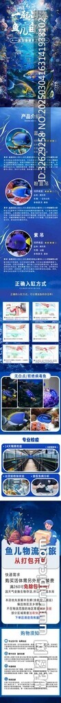 海洋魚類藍吊魚缸詳情頁