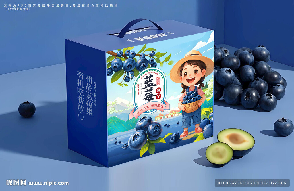 藍莓包裝