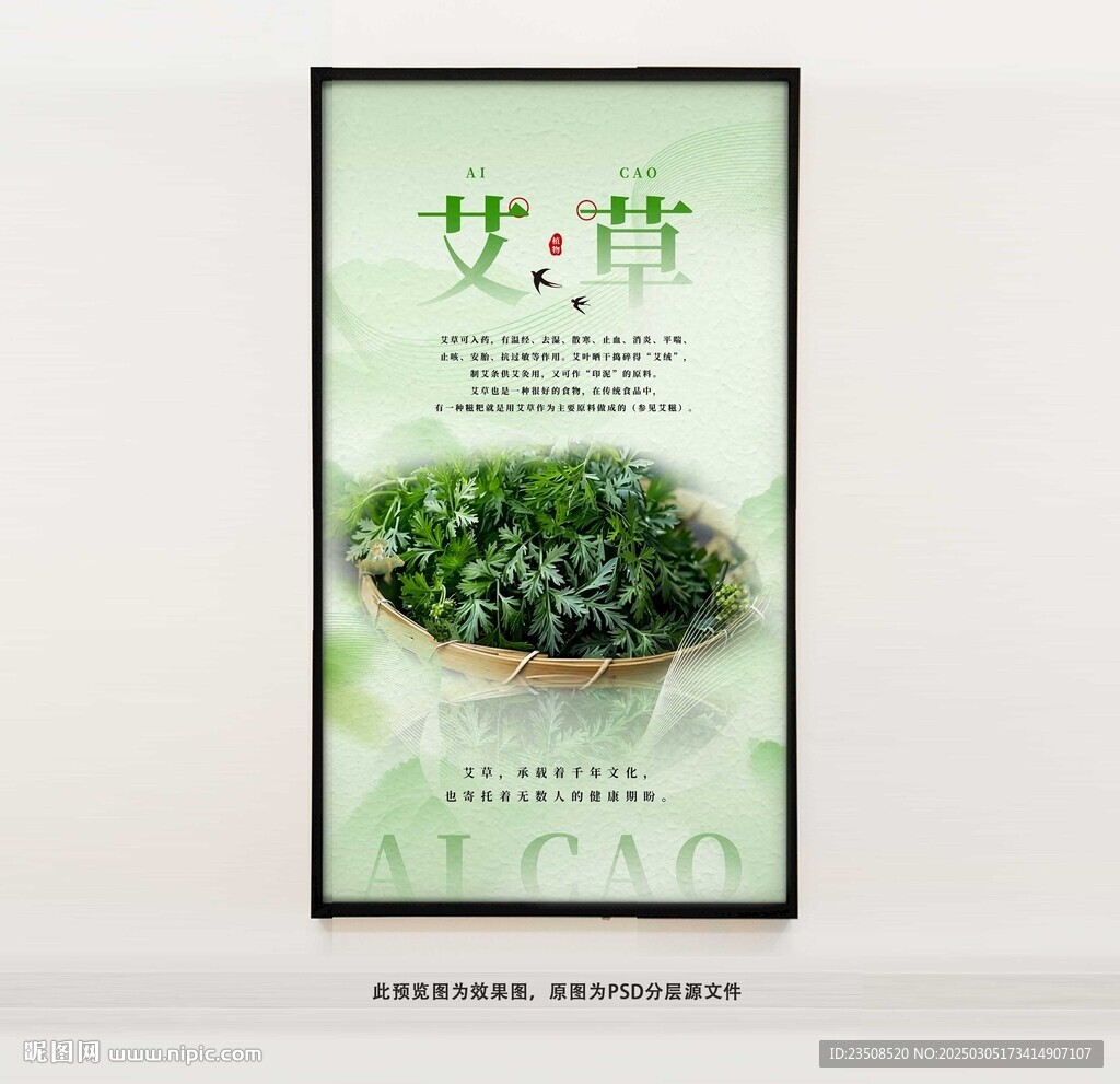 艾草