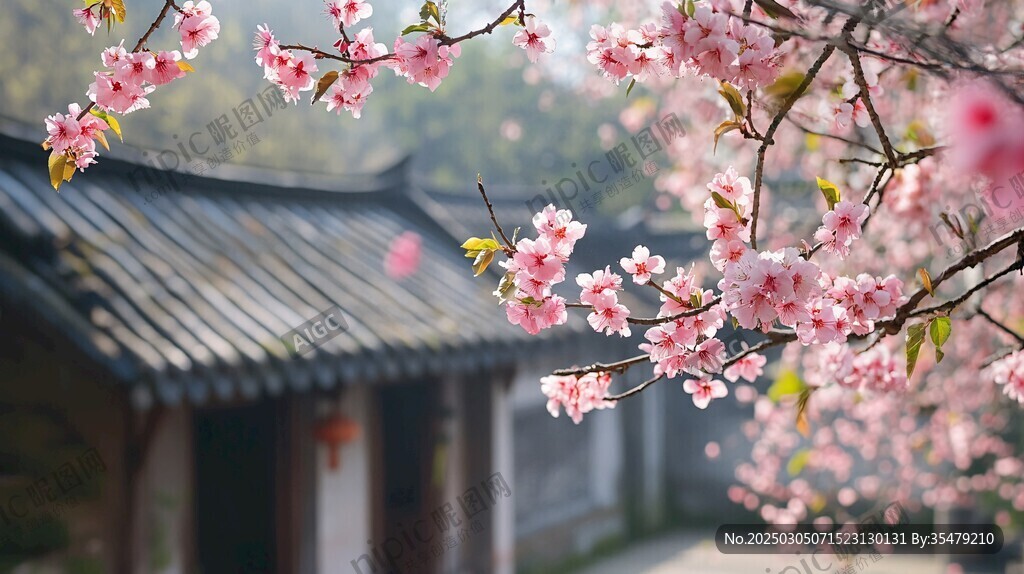 春日里 桃花朵朵 古老的房子靜靜地矗立在那里