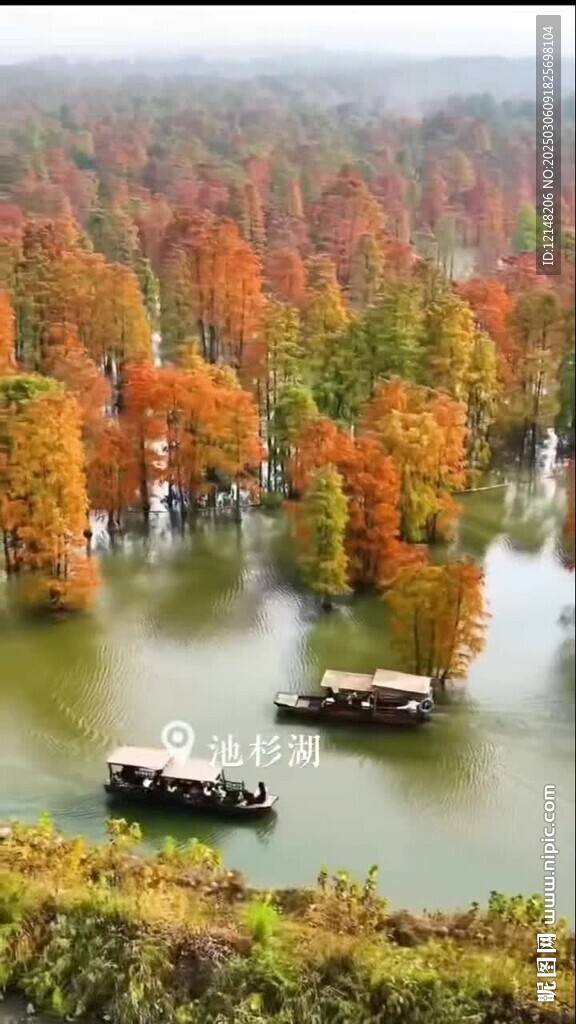 南京秋天景色