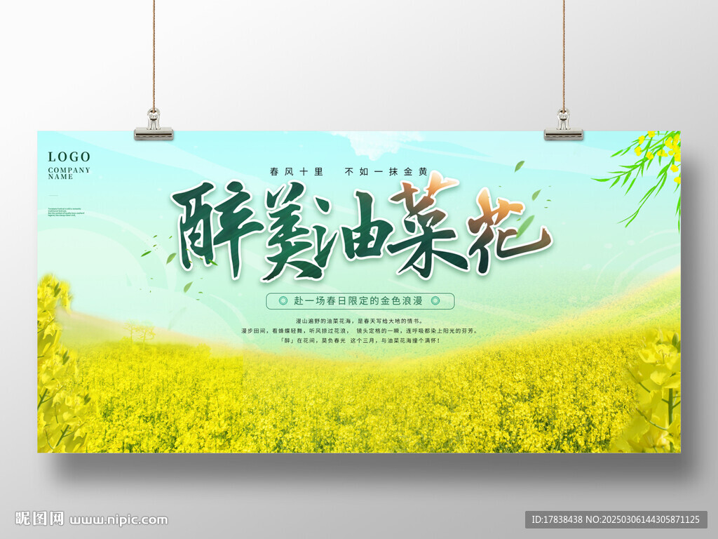 油菜花
