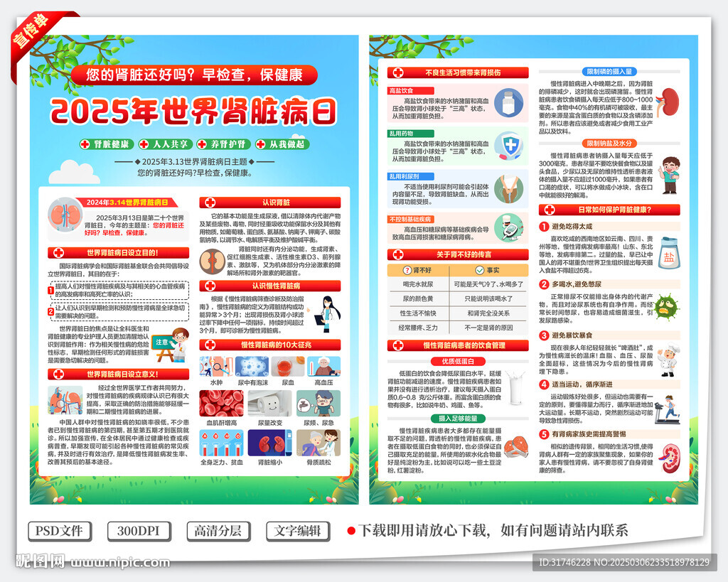 腎臟病宣傳單