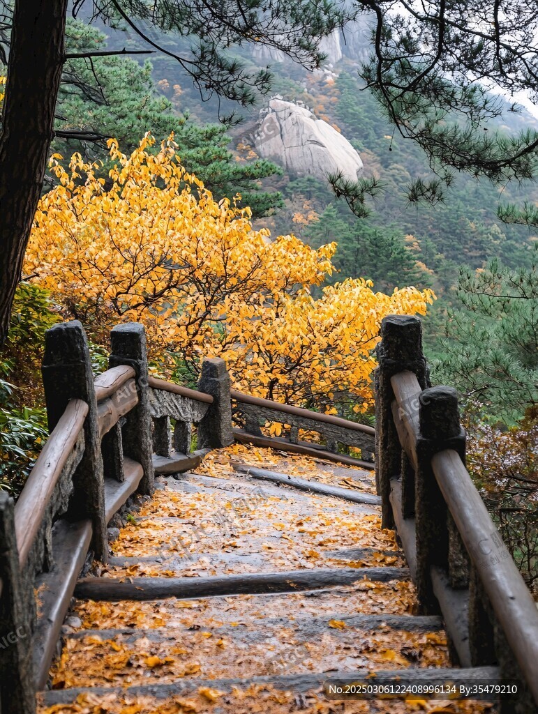 秋日山徑 落葉鋪徑