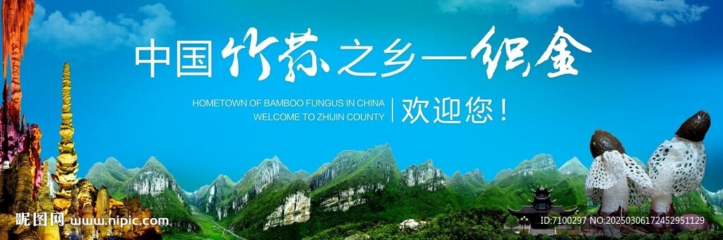 織金竹蓀