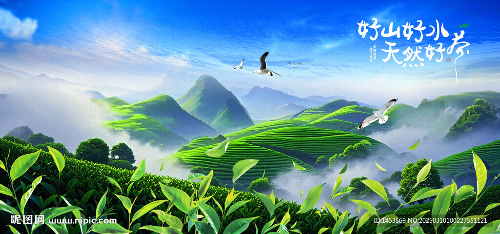 茶山