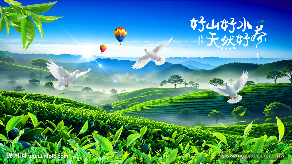 茶山茶園