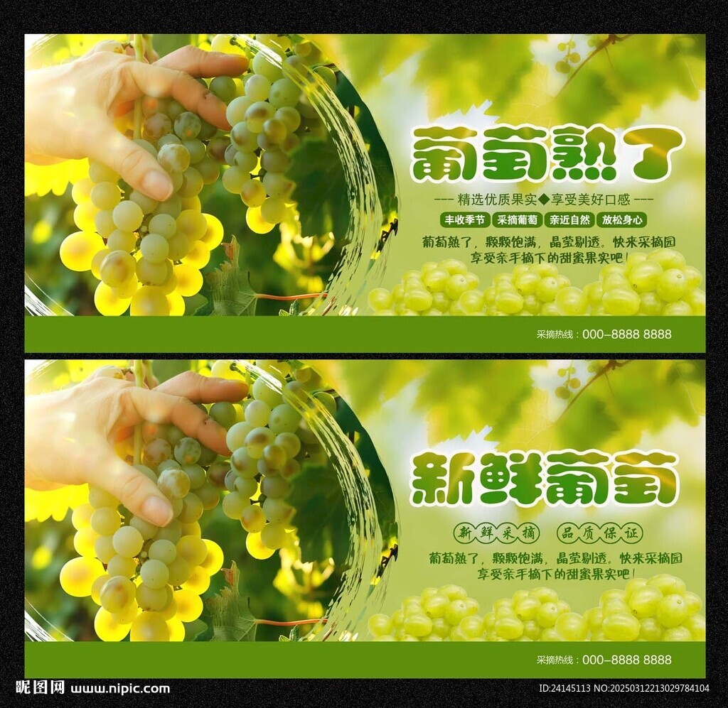 葡萄