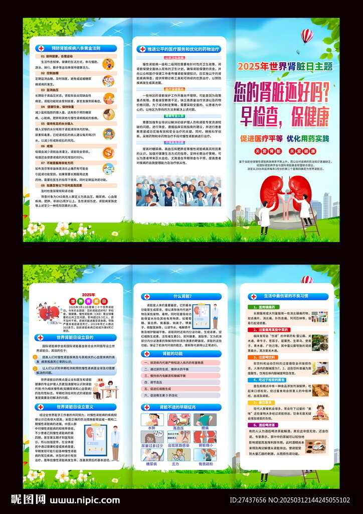 2025年 世界腎臟日 三折頁