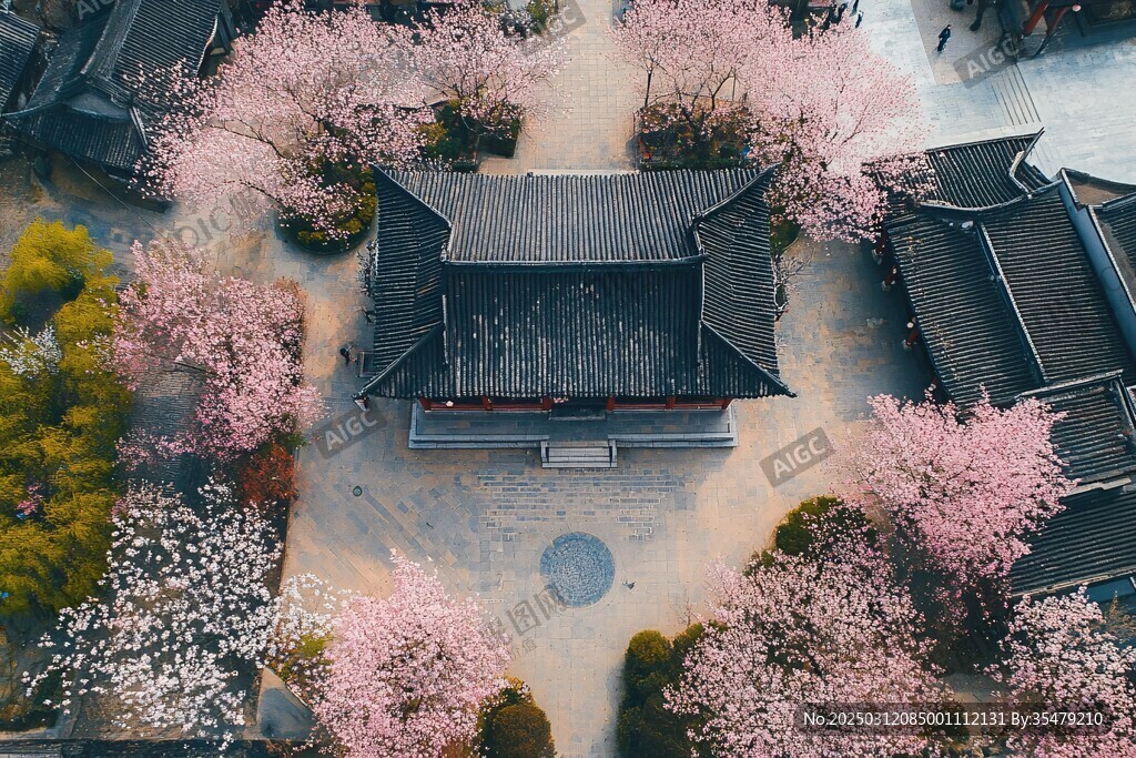 櫻花盛開的古韻中國