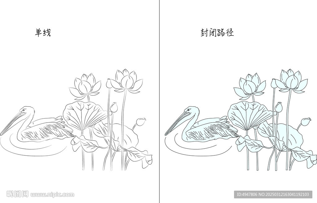 荷花 矢量圖