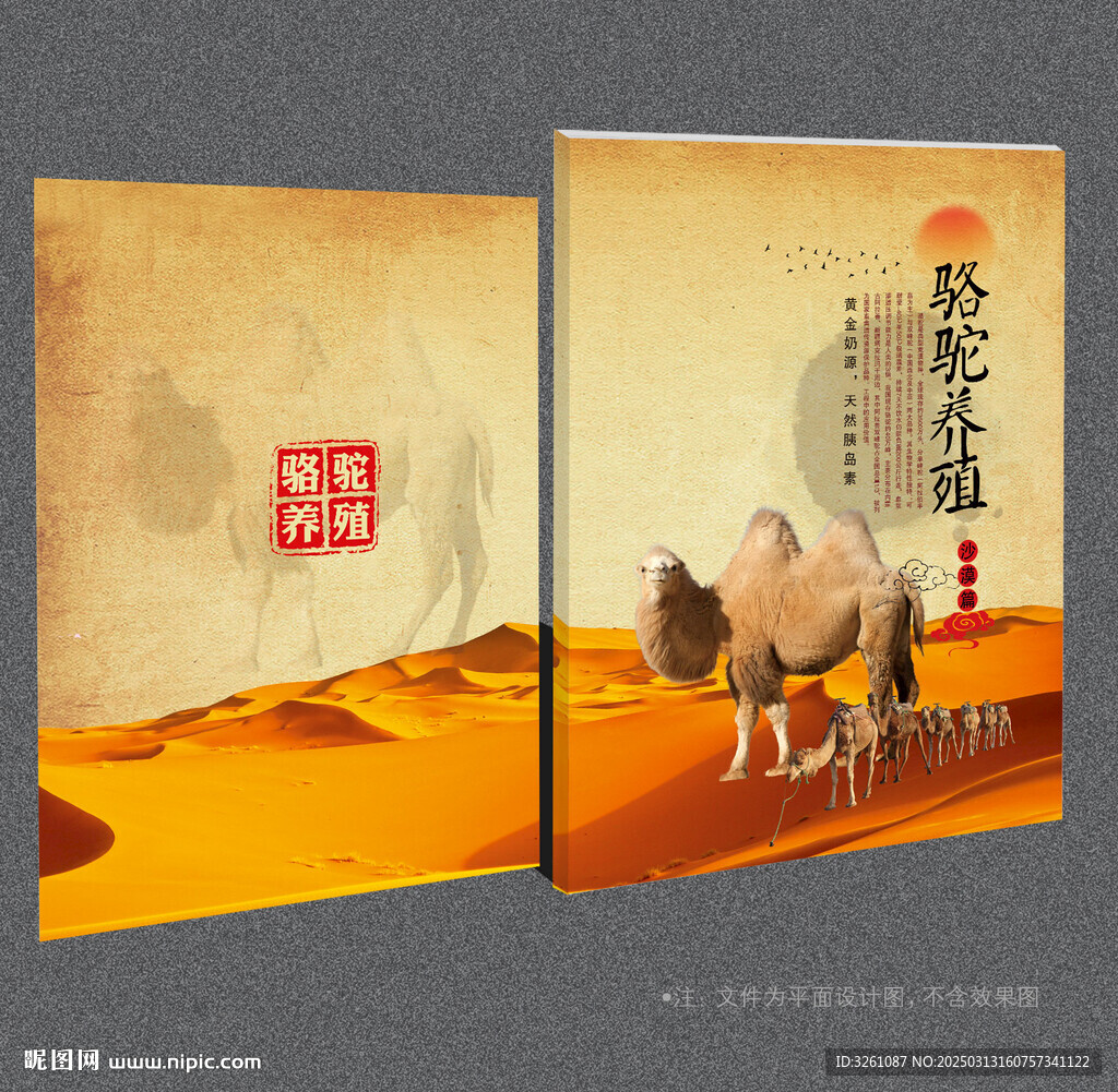 駱駝封面