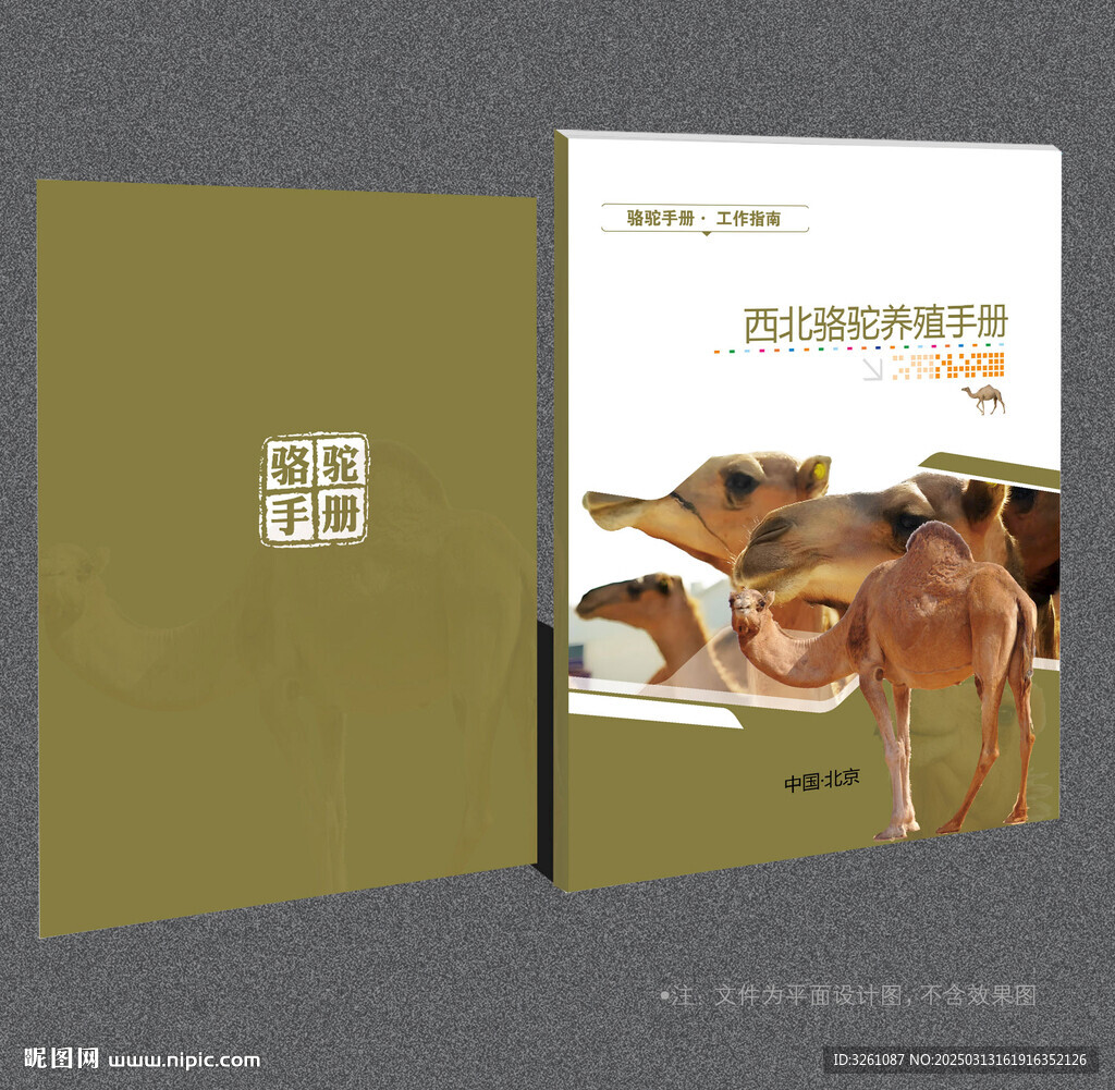 駱駝封面