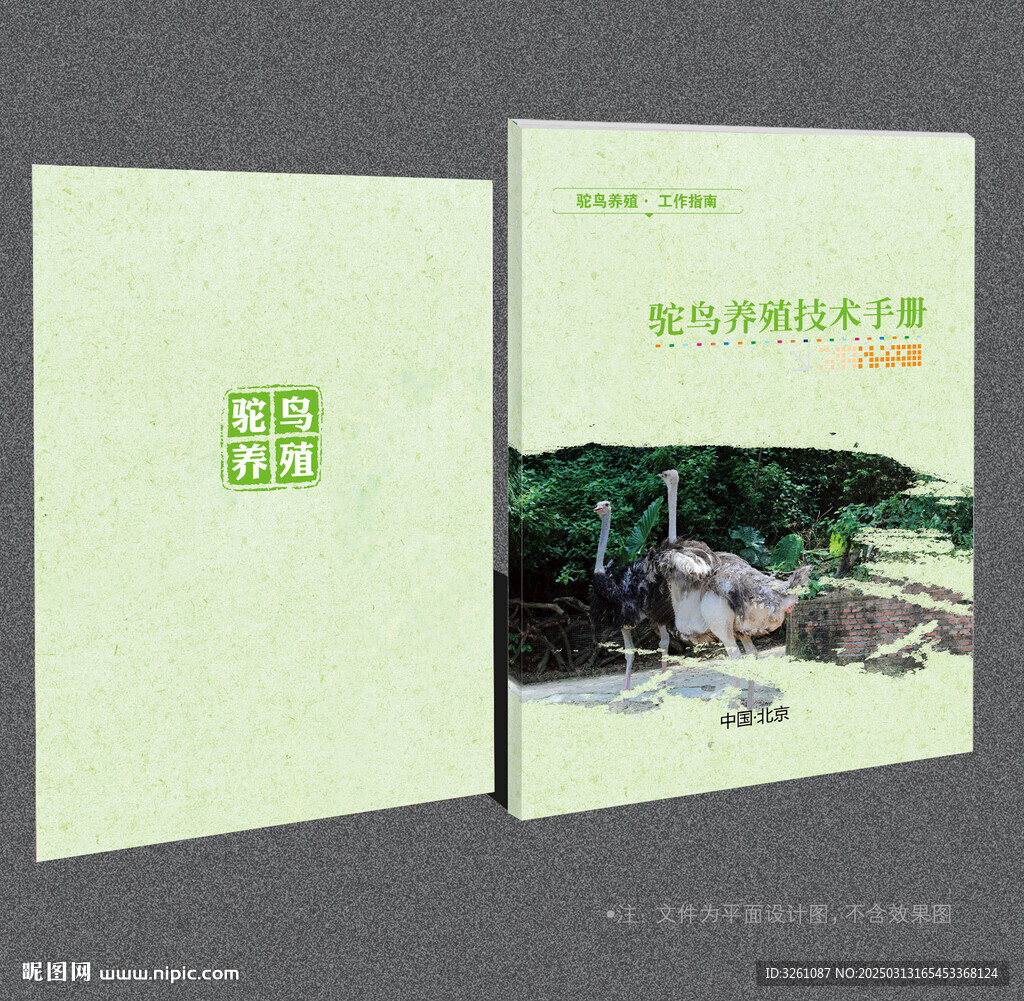 駝鳥(niǎo)封面