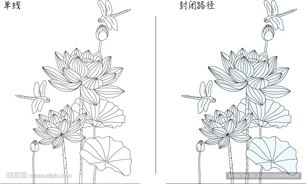荷共與蜻蜓 矢量圖