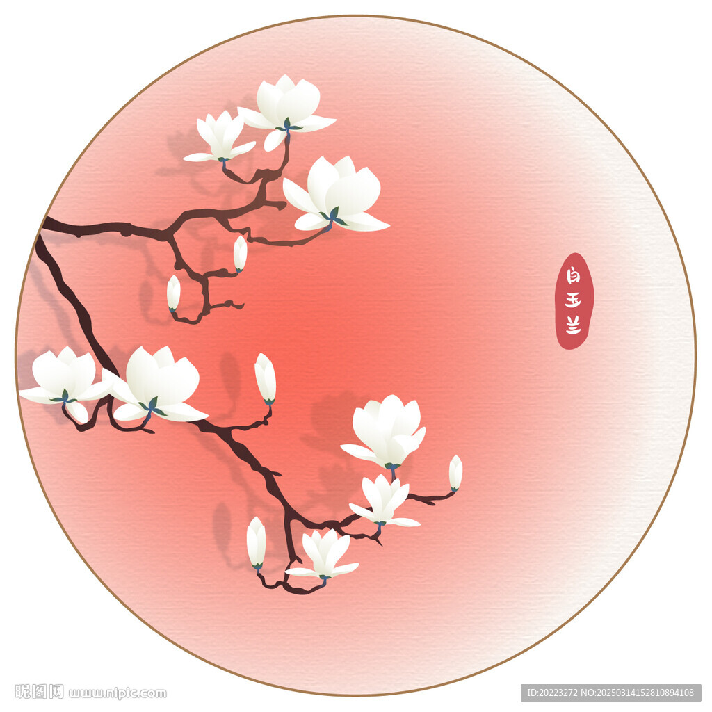 白玉蘭矢量插畫