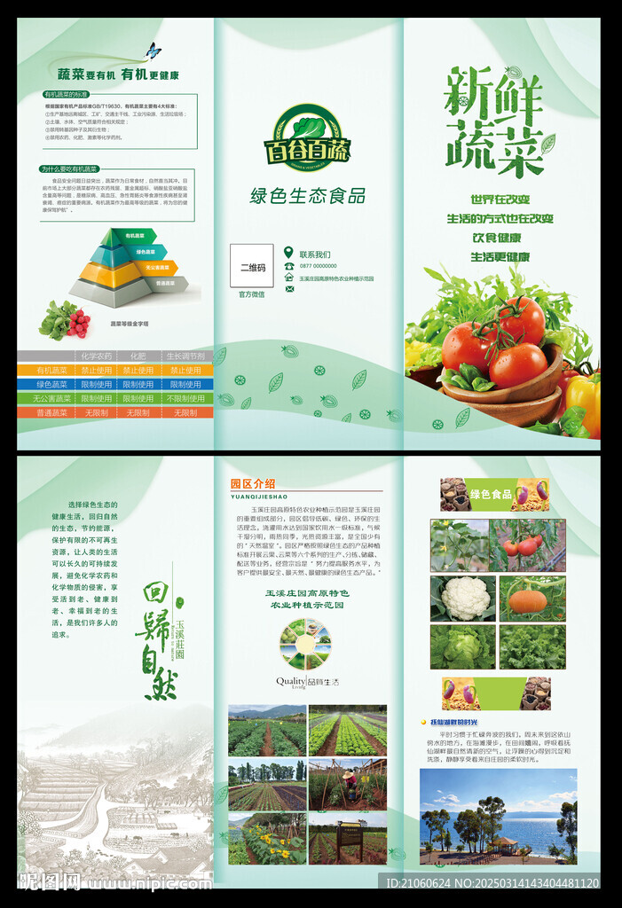 有機蔬菜折頁