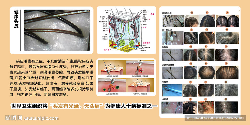 頭聊君 