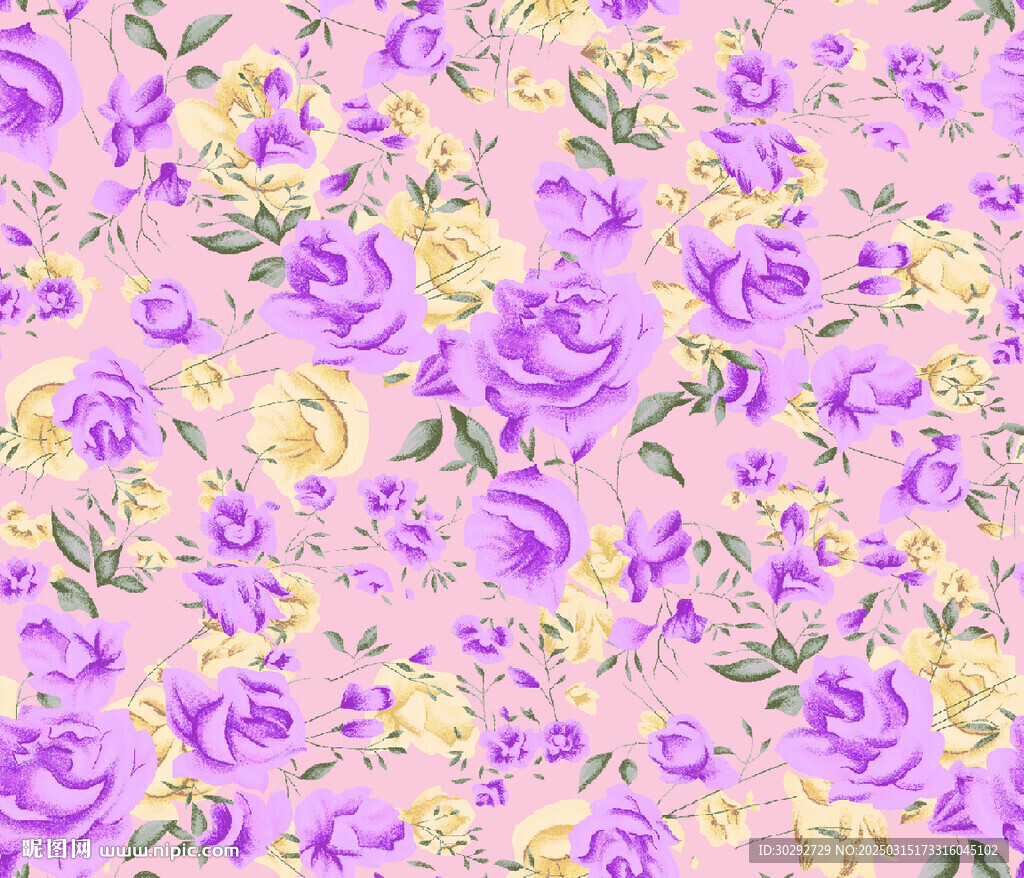 紫色花朵