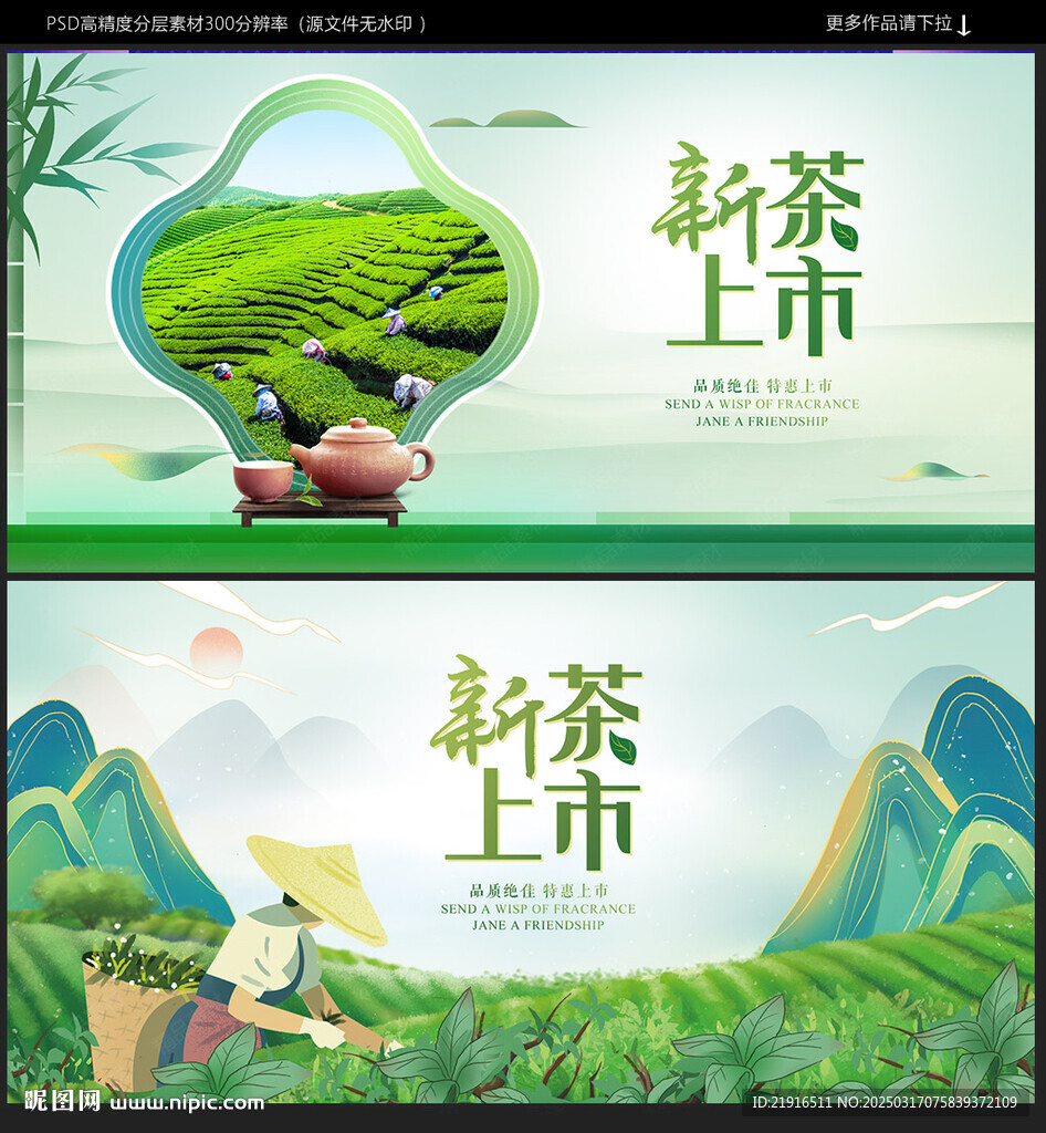 新茶上市