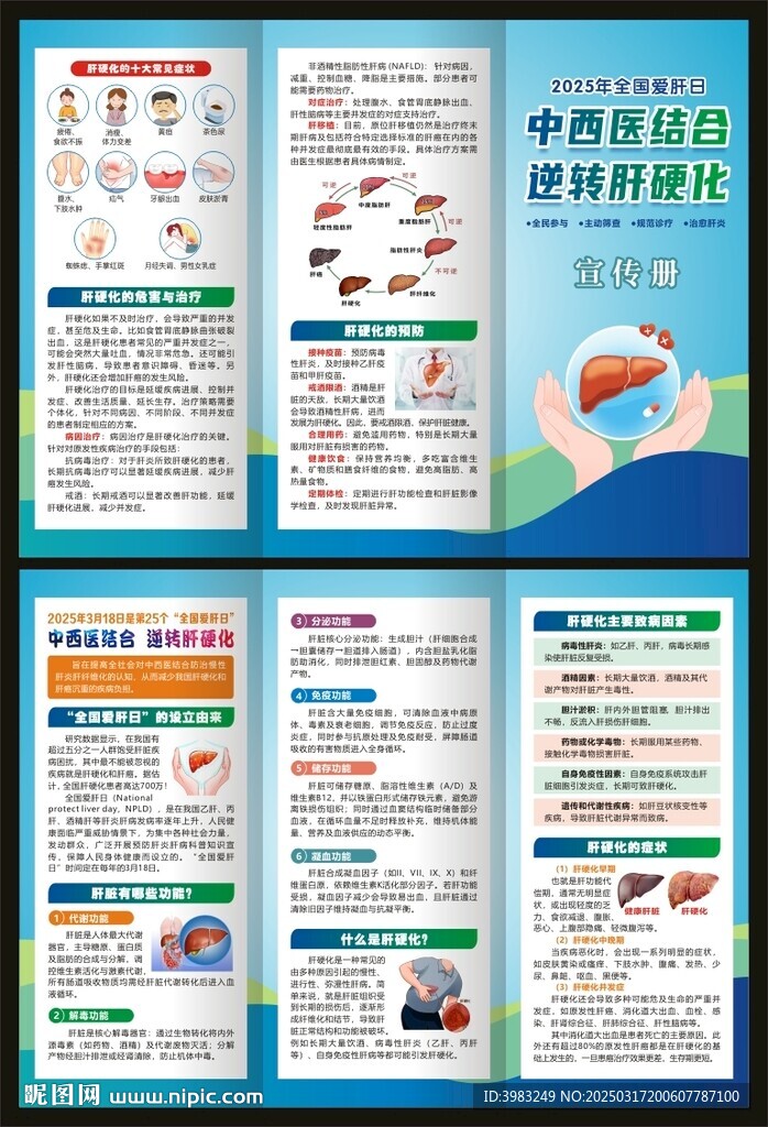 2025年全國(guó)愛(ài)肝日三折頁(yè)