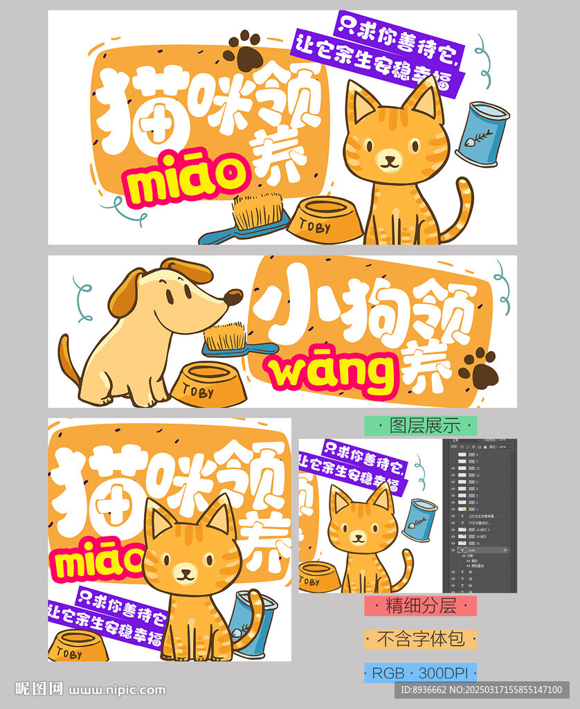 貓咪領養