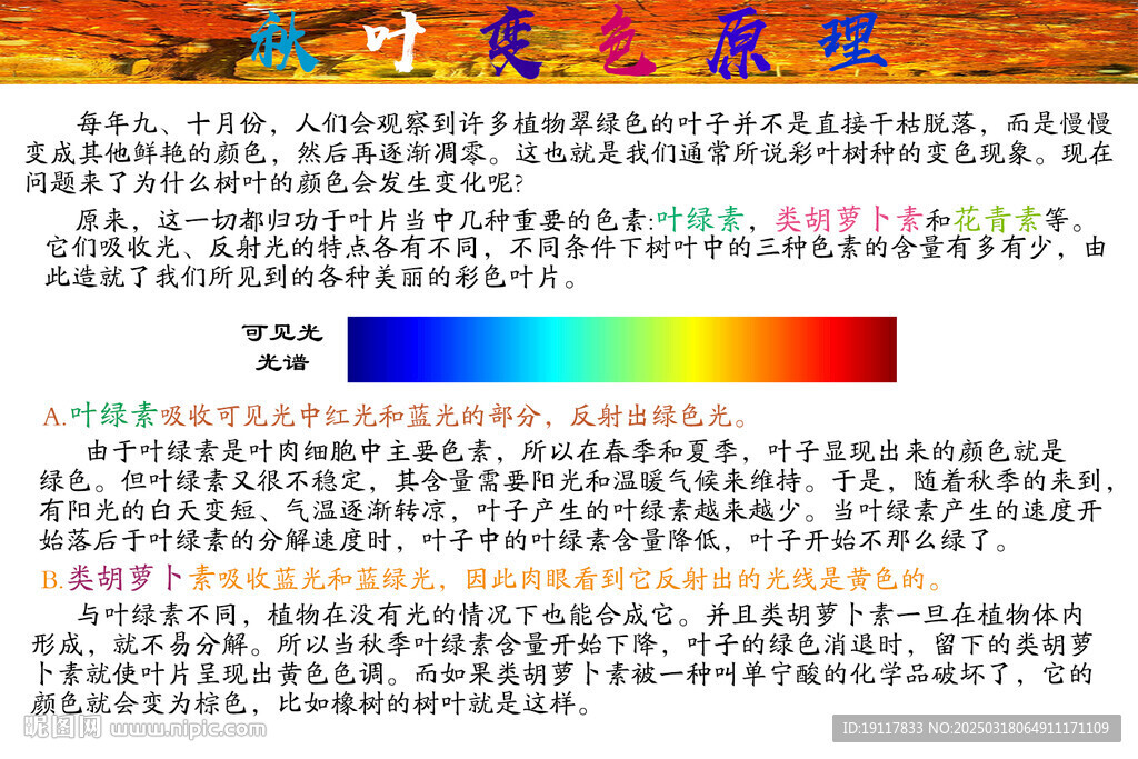 秋天葉子變色原理