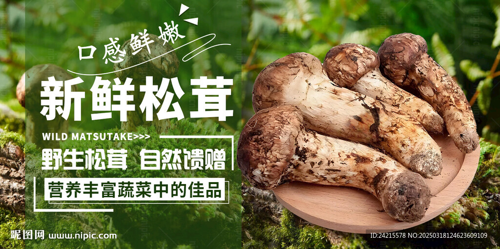 松茸