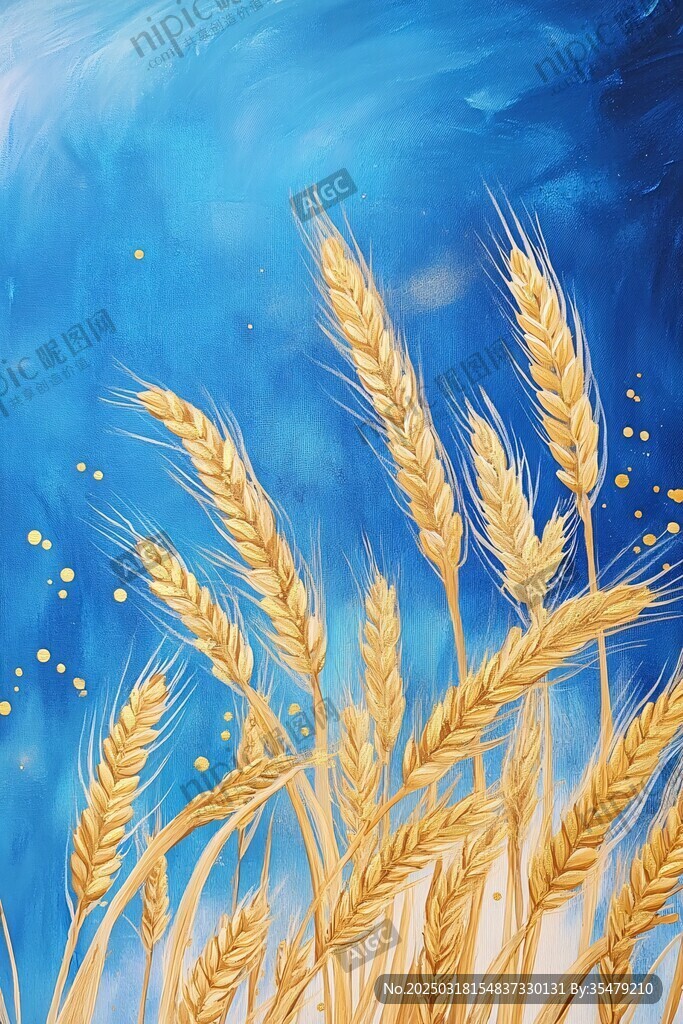 麥穗與天空