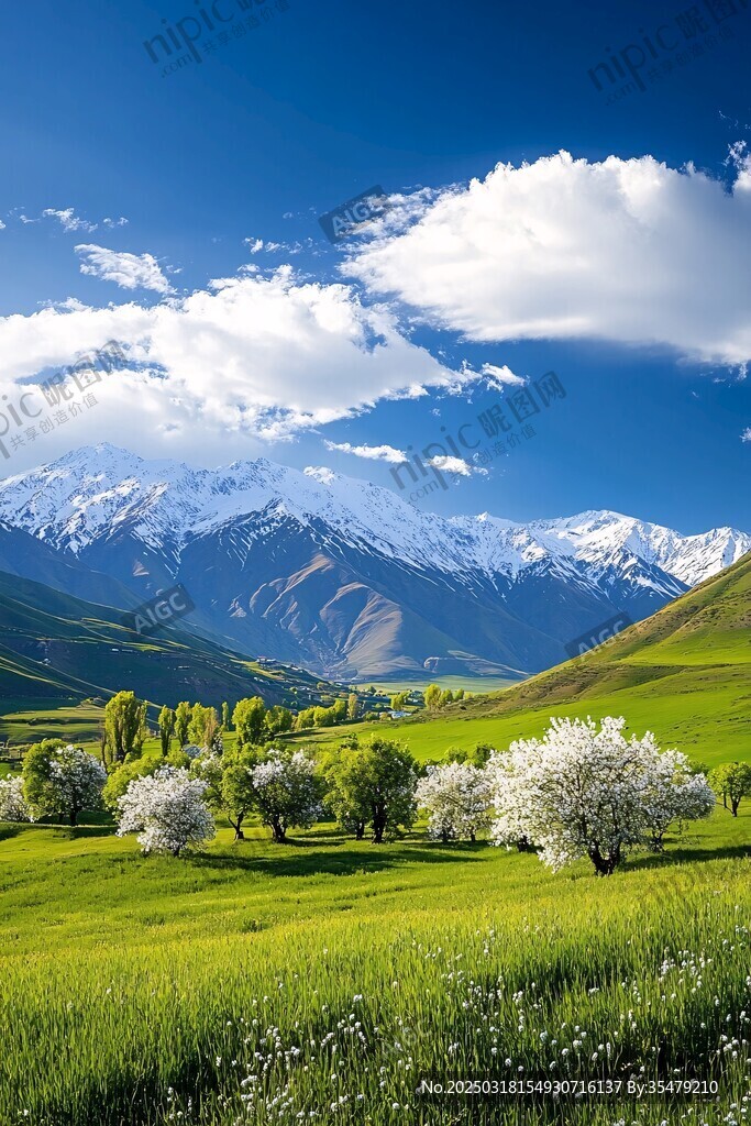 山谷中的春天風(fēng)景