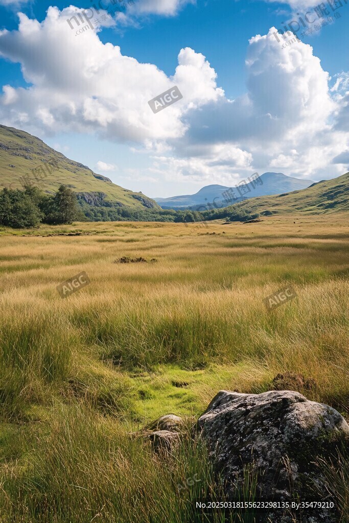 山谷中的草地風(fēng)景