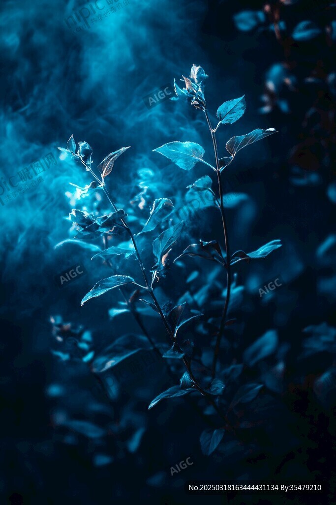神秘藍(lán)光下的植物世界