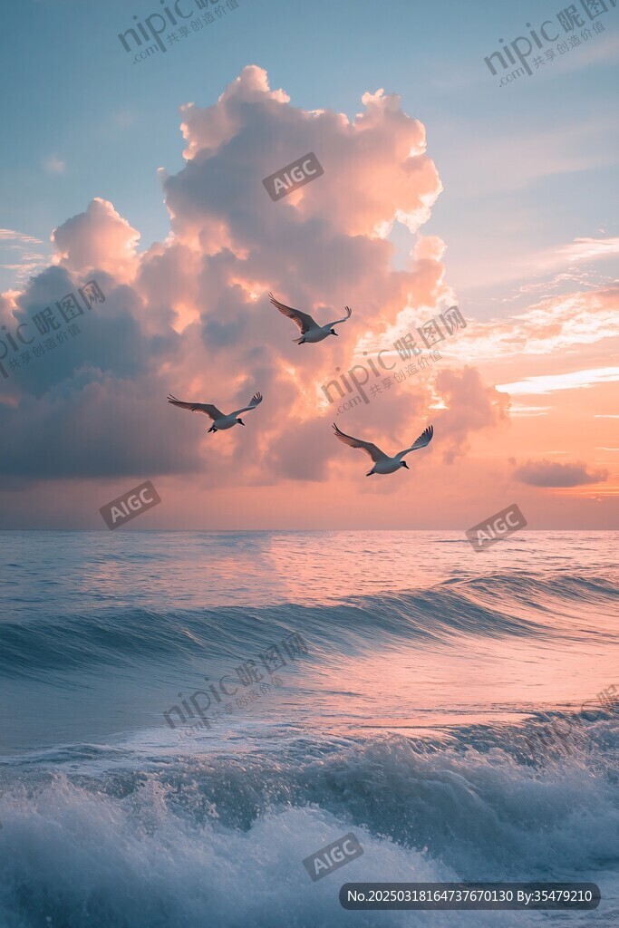 夕陽下飛翔的海鷗