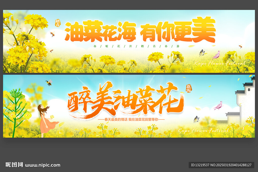油菜花節條幅