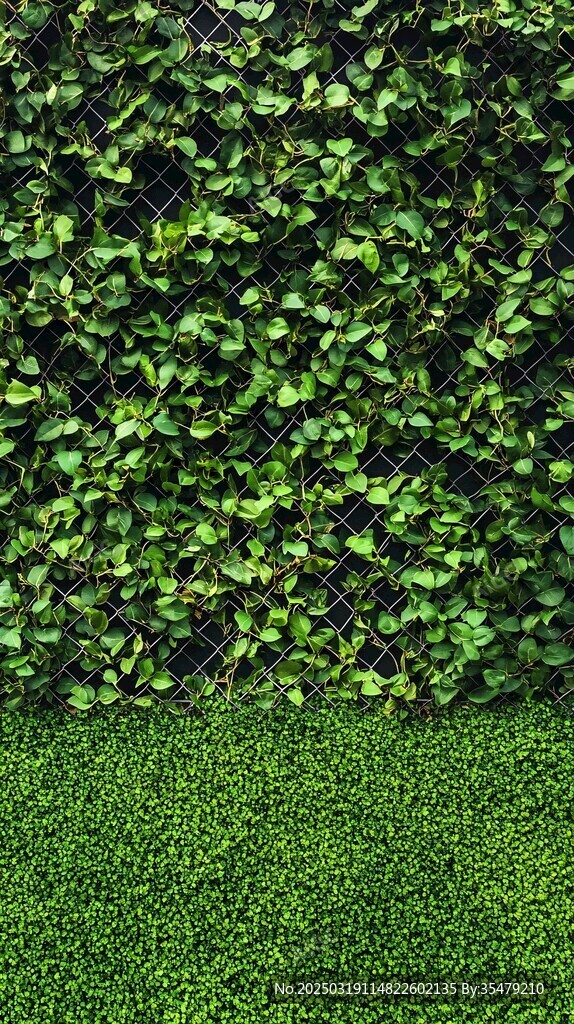 綠色植物墻