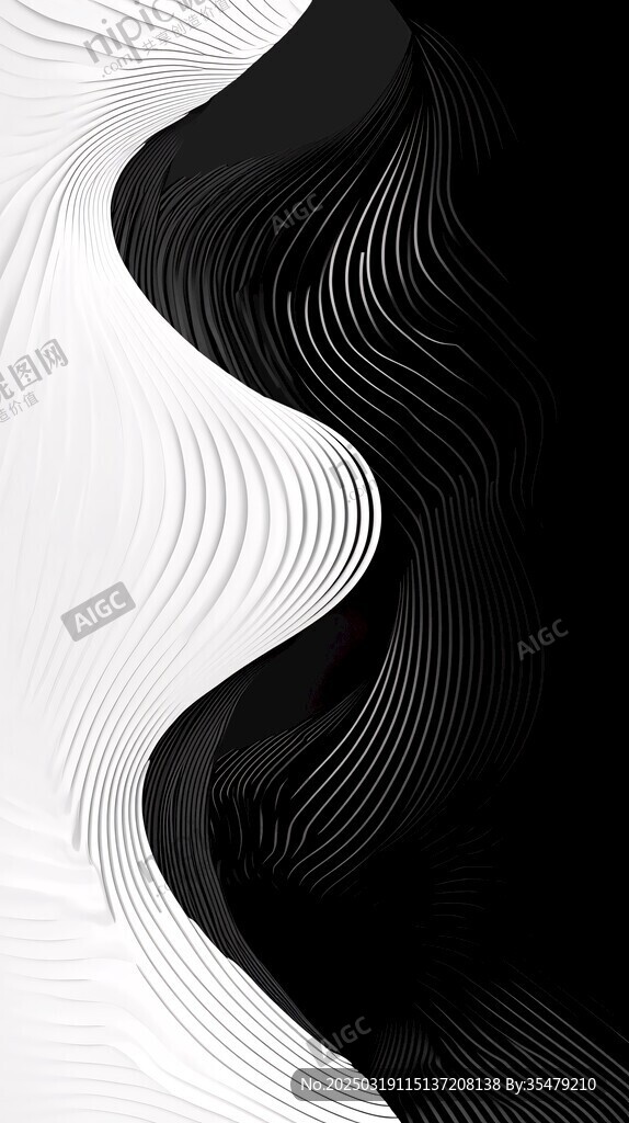 抽象黑白線條藝術(shù)