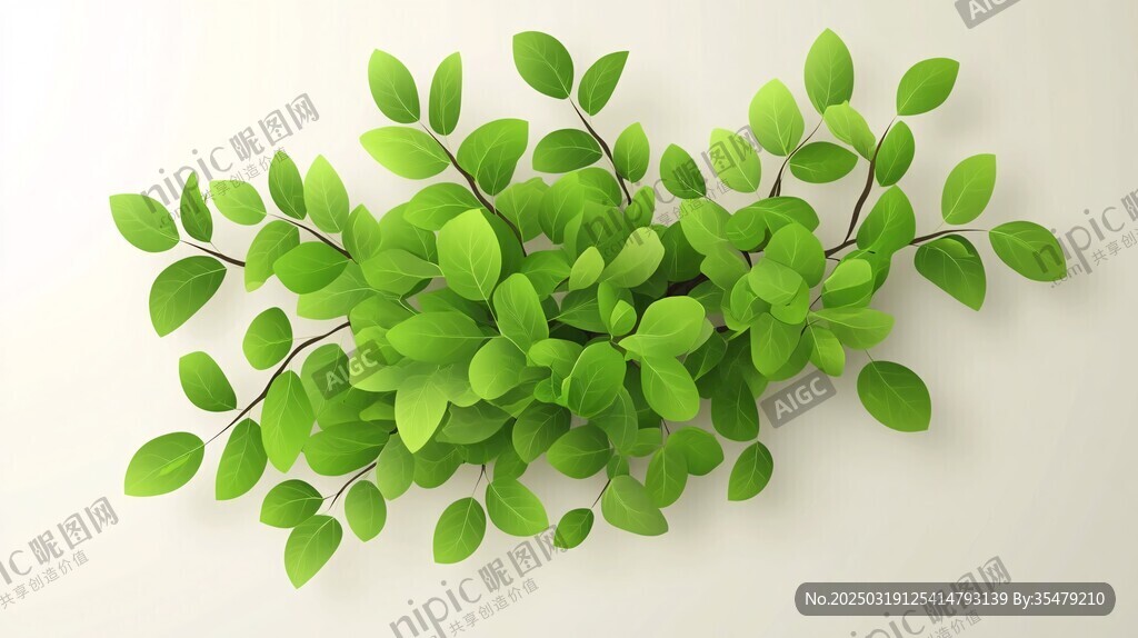 綠色植物墻藝術