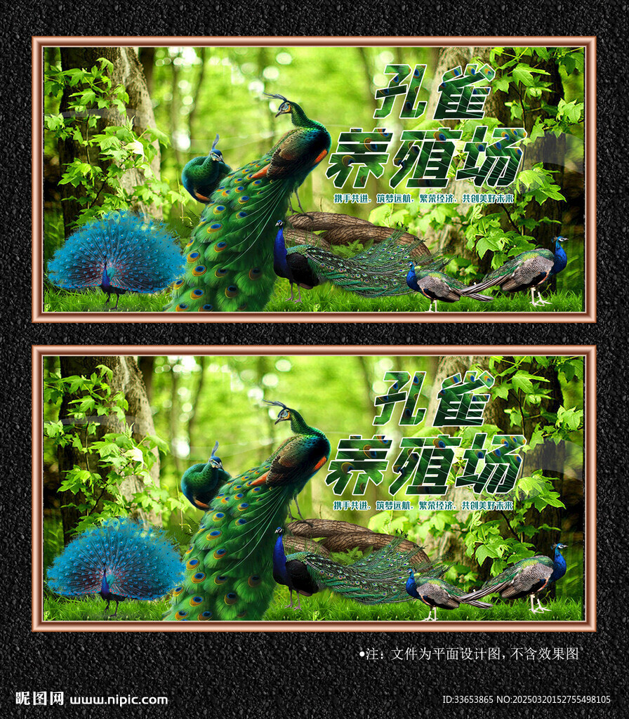 孔雀