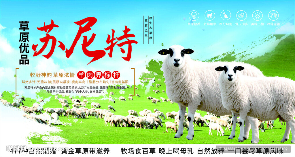 蘇尼特羊