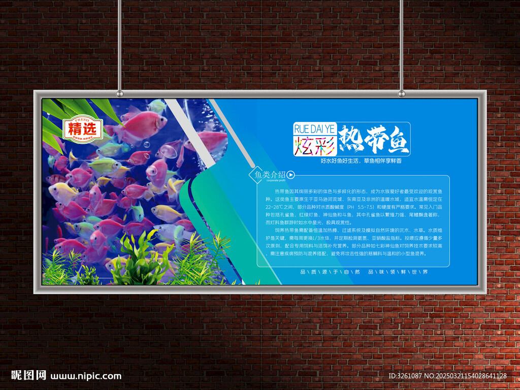 熱帶魚