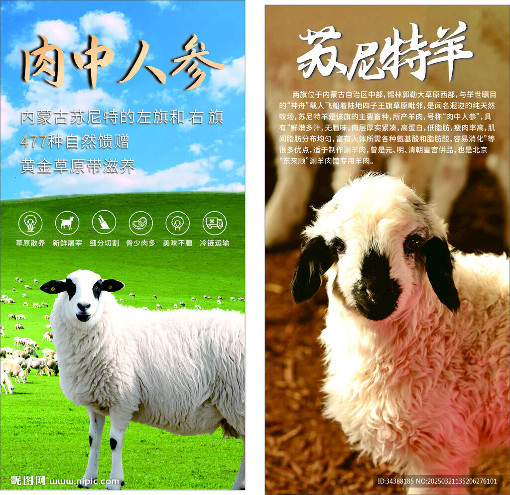 蘇尼特羊