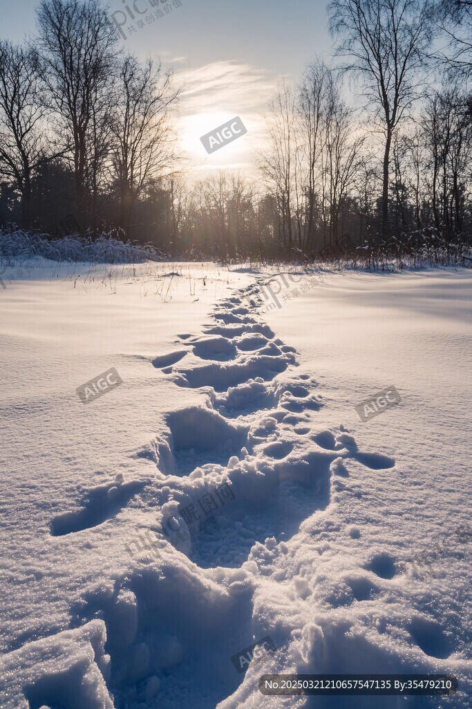 雪地足跡