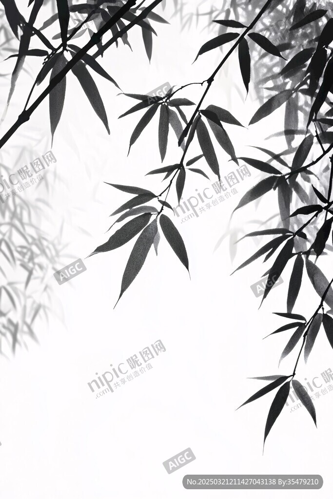 竹影婆娑