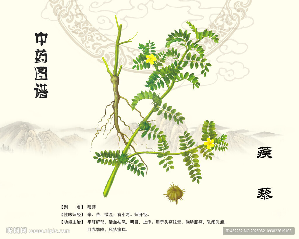 蒺藜中藥蒺藜