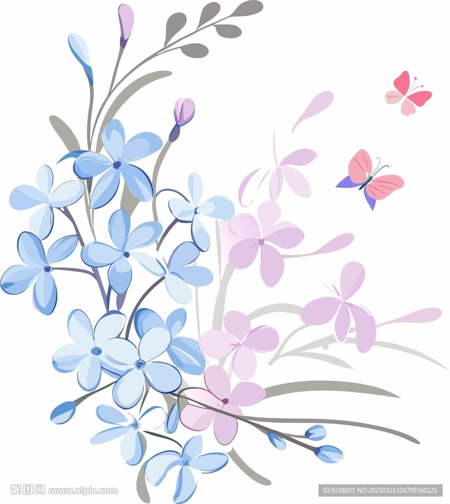 薰衣草
